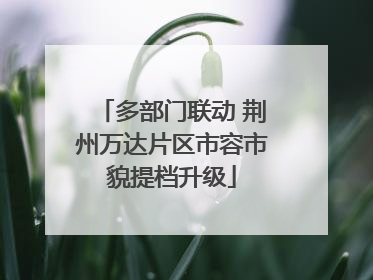 多部门联动 荆州万达片区市容市貌提档升级