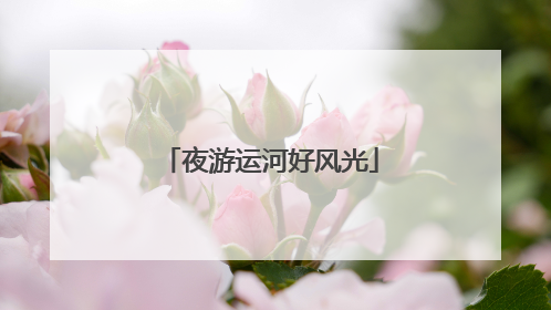夜游运河好风光