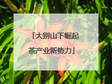 大别山下崛起茶产业新势力