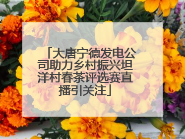 大唐宁德发电公司助力乡村振兴坦洋村春茶评选赛直播引关注