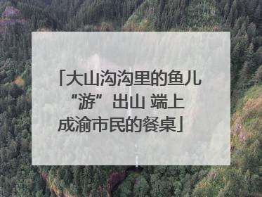 大山沟沟里的鱼儿 “游”出山 端上成渝市民的餐桌