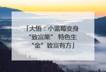 大悟：小蓝莓变身“致富果” 特色生“金”致富有方