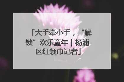 大手牵小手，“解锁”欢乐童年｜杨浦区红领巾记者
