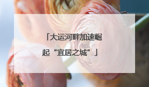 大运河畔加速崛起“宜居之城”