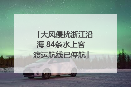 大风侵扰浙江沿海 84条水上客渡运航线已停航