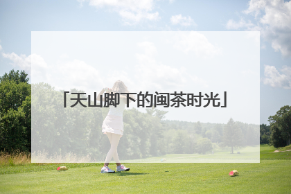 天山脚下的闽茶时光