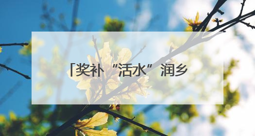 奖补“活水”润乡村 文旅“繁花”助振兴——黄龙县以旅游奖补政策激活乡村振兴新动能