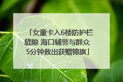 女童卡入6楼防护栏缝隙 海口辅警与群众5分钟救出获赠锦旗