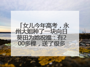 女儿今年高考，永州大姐种了一块向日葵田为她祝福：有200多棵，送了很多给其他家长