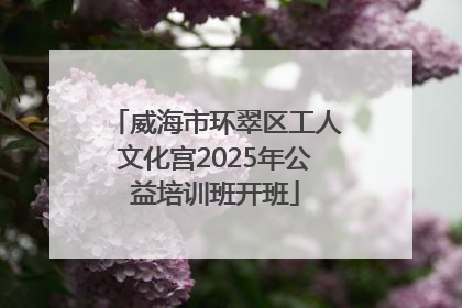 威海市环翠区工人文化宫2025年公益培训班开班