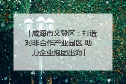 威海市文登区：打造对非合作产业园区 助力企业抱团出海