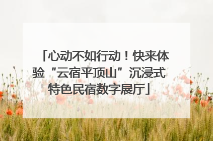 心动不如行动！快来体验“云宿平顶山”沉浸式特色民宿数字展厅
