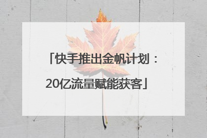 快手推出金帆计划：20亿流量赋能获客