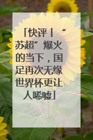 快评丨“苏超”爆火的当下，国足再次无缘世界杯更让人唏嘘