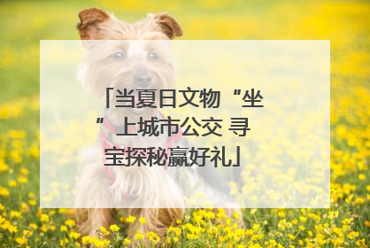 当夏日文物“坐”上城市公交 寻宝探秘赢好礼