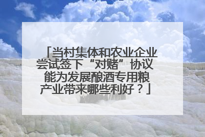 当村集体和农业企业尝试签下“对赌”协议 能为发展酿酒专用粮产业带来哪些利好？