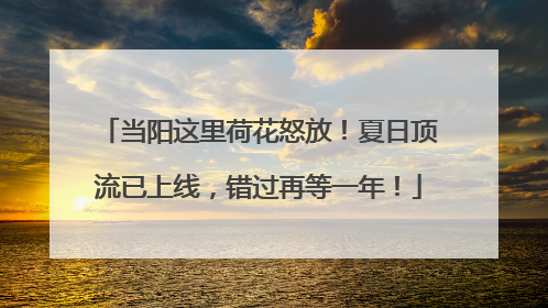 当阳这里荷花怒放！夏日顶流已上线，错过再等一年！