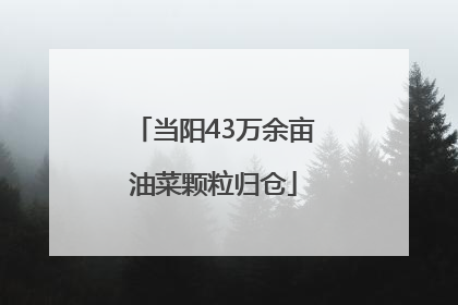 当阳43万余亩油菜颗粒归仓