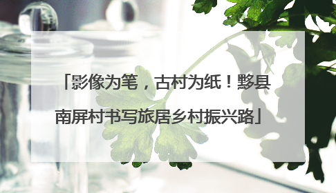 影像为笔，古村为纸！黟县南屏村书写旅居乡村振兴路