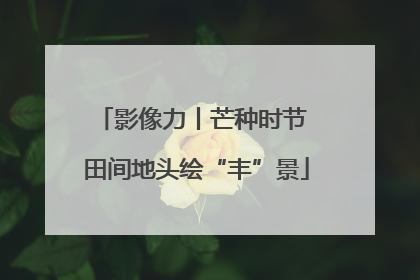 影像力丨芒种时节 田间地头绘“丰”景