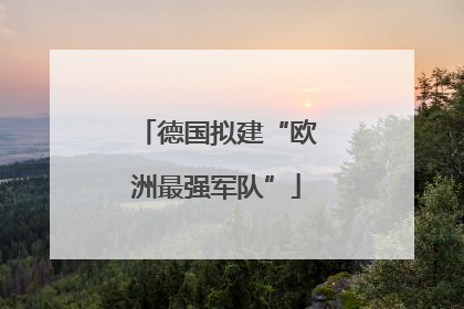 德国拟建“欧洲最强军队”
