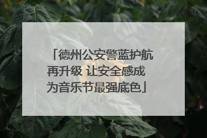 德州公安警蓝护航再升级 让安全感成为音乐节最强底色