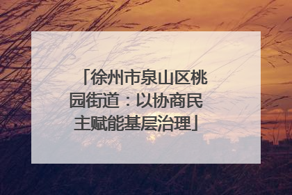 徐州市泉山区桃园街道：以协商民主赋能基层治理