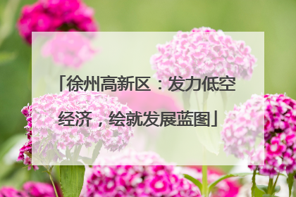 徐州高新区：发力低空经济，绘就发展蓝图