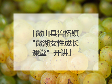微山县鲁桥镇“微湖女性成长课堂”开讲