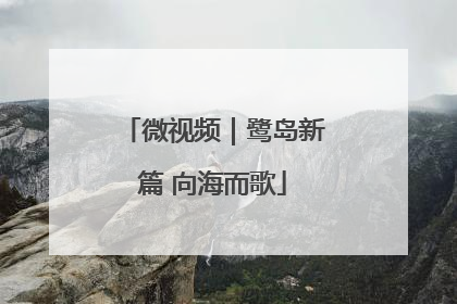 微视频｜鹭岛新篇 向海而歌