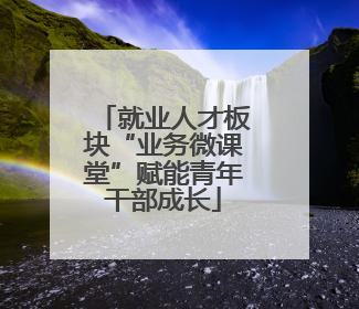 就业人才板块“业务微课堂”赋能青年干部成长