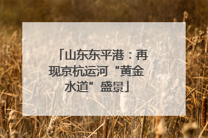 山东东平港：再现京杭运河“黄金水道”盛景