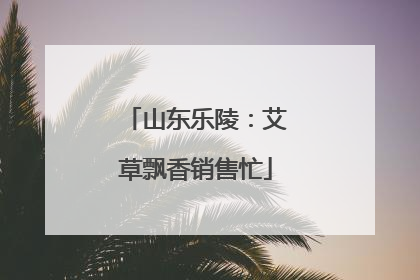 山东乐陵：艾草飘香销售忙