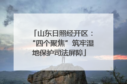 山东日照经开区：“四个聚焦”筑牢湿地保护司法屏障