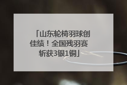山东轮椅羽球创佳绩！全国残羽赛斩获3银1铜