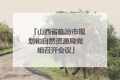山西省临汾市规划和自然资源局党组召开会议