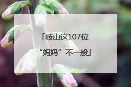 岐山这107位“妈妈”不一般
