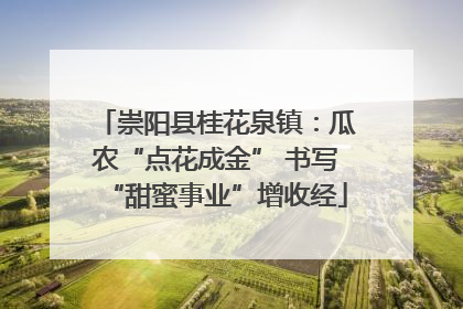 崇阳县桂花泉镇：瓜农“点花成金” 书写“甜蜜事业”增收经