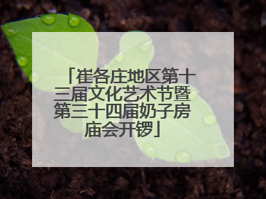 崔各庄地区第十三届文化艺术节暨第三十四届奶子房庙会开锣