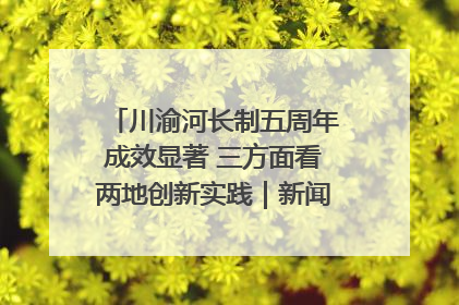 川渝河长制五周年成效显著 三方面看两地创新实践｜新闻发布最前线