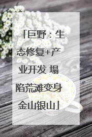 巨野：生态修复+产业开发 塌陷荒滩变身金山银山