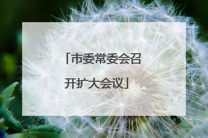 市委常委会召开扩大会议