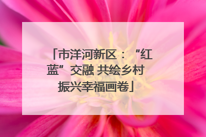 市洋河新区：“红蓝”交融 共绘乡村振兴幸福画卷