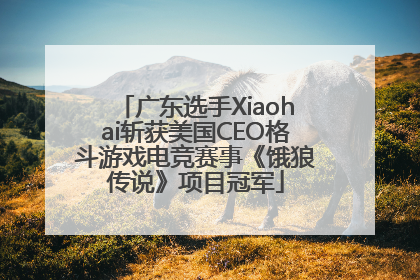 广东选手Xiaohai斩获美国CEO格斗游戏电竞赛事《饿狼传说》项目冠军
