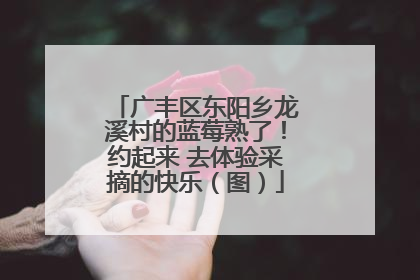 广丰区东阳乡龙溪村的蓝莓熟了！约起来 去体验采摘的快乐（图）