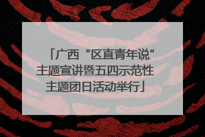 广西“区直青年说”主题宣讲暨五四示范性主题团日活动举行