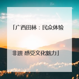 广西田林：民众体验非遗 感受文化魅力