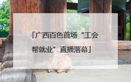 广西百色首场“工会帮就业”直播落幕