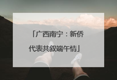 广西南宁：新侨代表共叙端午情
