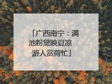 广西南宁：满池粉黛映夏凉 游人赏荷忙
